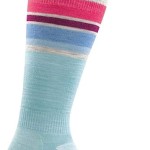 Women's Darn Tough Stripe No-Show Socks